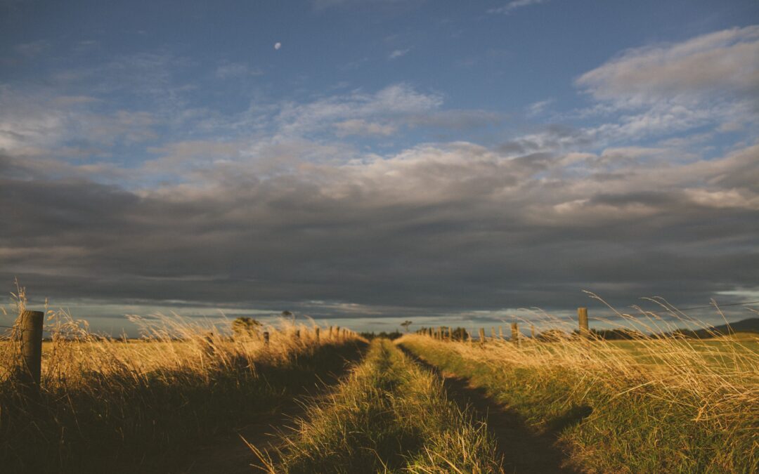 Quia amet deserunt et quia voluptatem neque